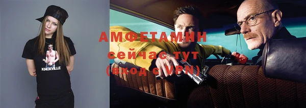 сатива Абаза