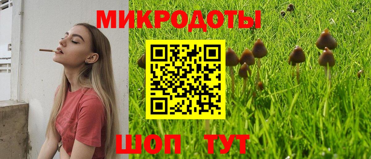 Псилоцибиновые грибы GOLDEN TEACHER Советский