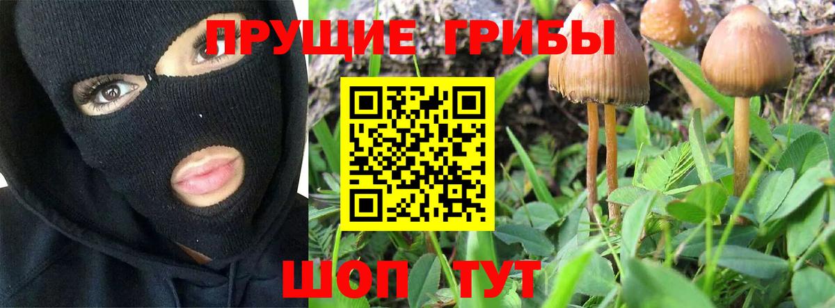 Советский  Галлюциногенные грибы Psilocybe  Галлюциногенные грибы Magic Shrooms  Вход с VPN 